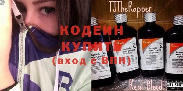 индика Баксан