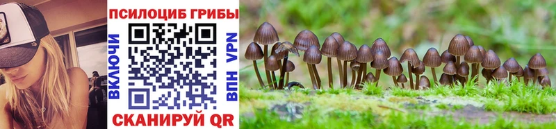 Галлюциногенные грибы Magic Shrooms  Кандалакша 